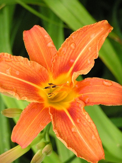 img00028.jpg