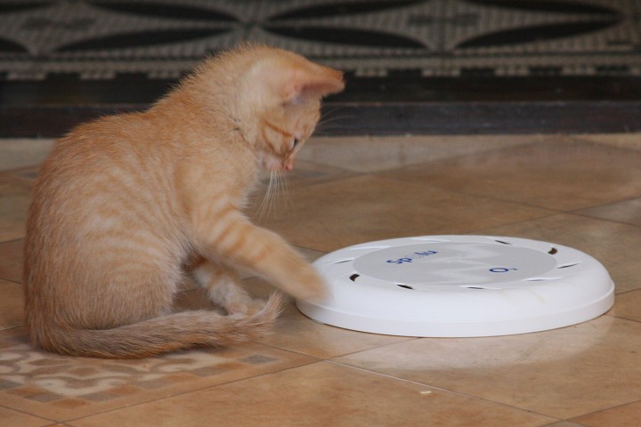 img00003.jpg