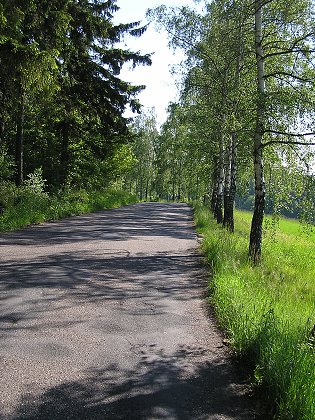 Stimelice 