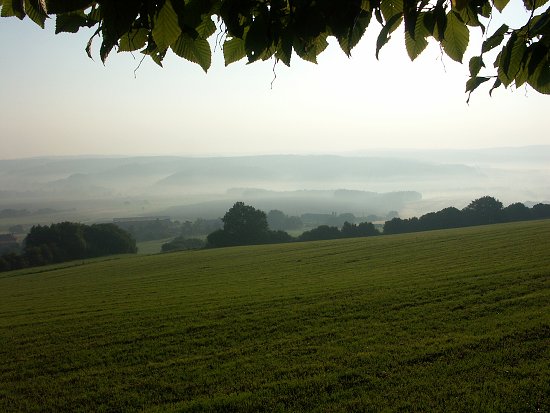Stimelice 
