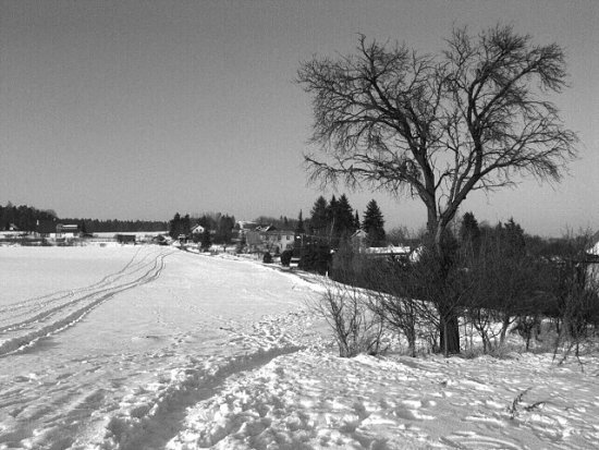 Stimelice 
