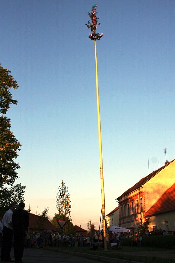 img00004.jpg