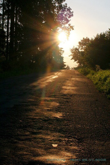 img00008.jpg