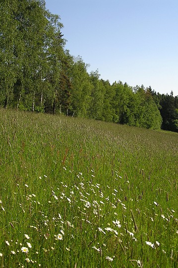 img00014.jpg