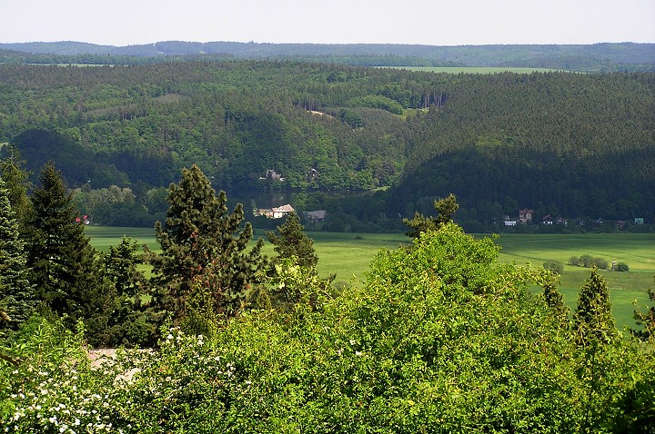 img00015.jpg