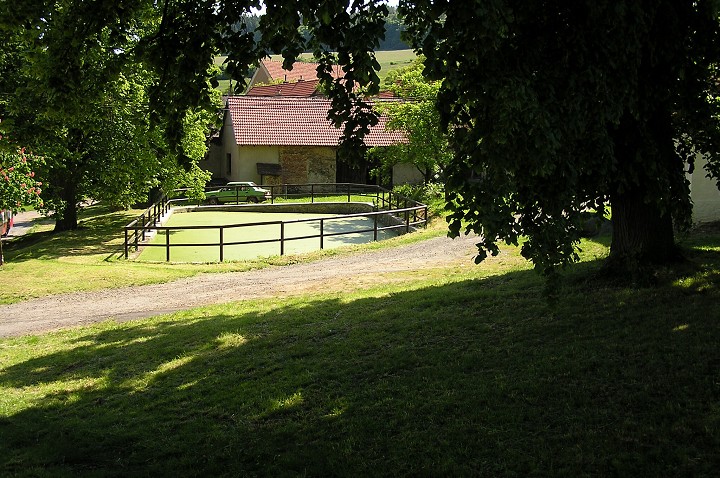 img00019.jpg