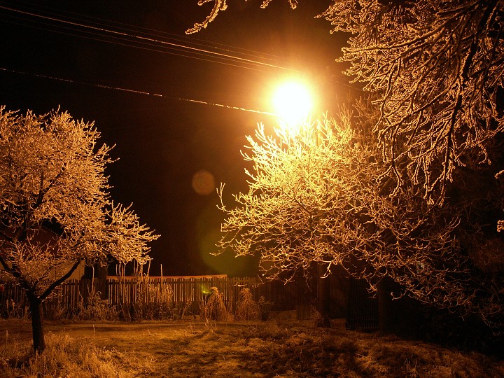 img00033.jpg