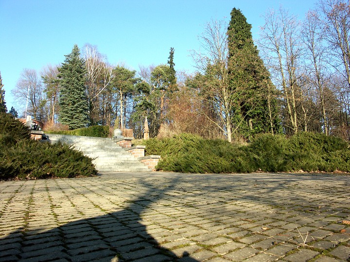 img00036.jpg