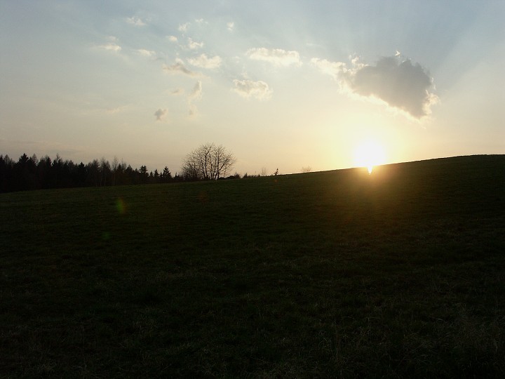img00041.jpg