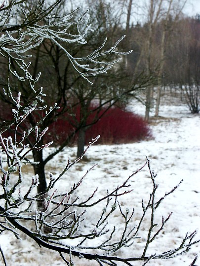 img00049.jpg