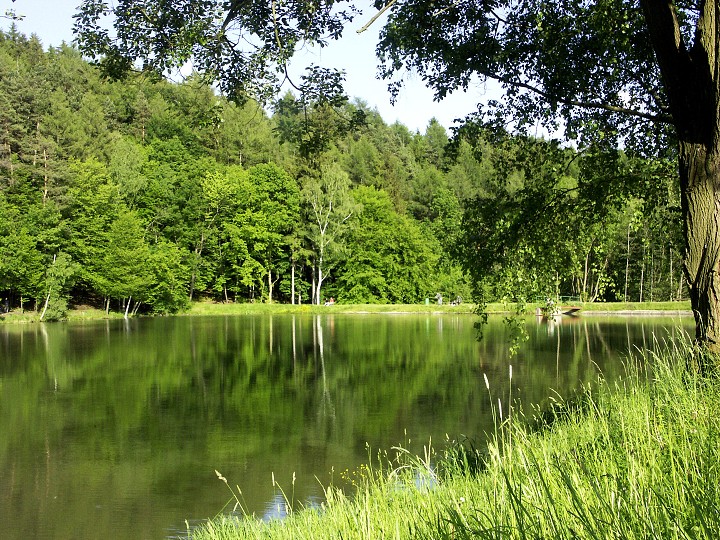 img00065.jpg