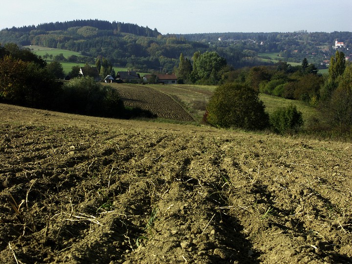 img00089.jpg