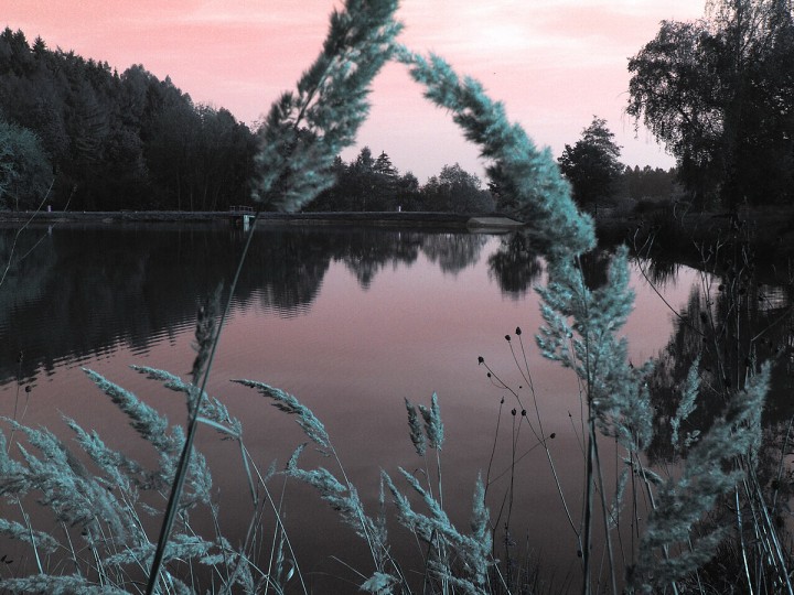 img00091.jpg