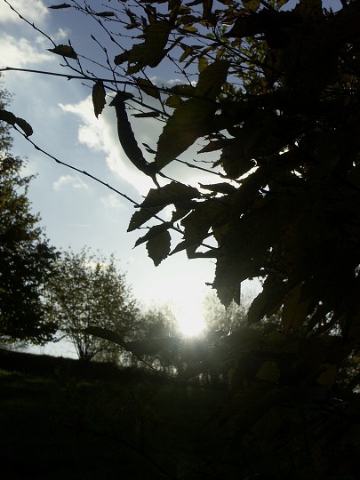 img00096.jpg