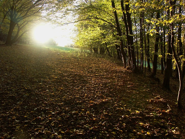 img00103.jpg