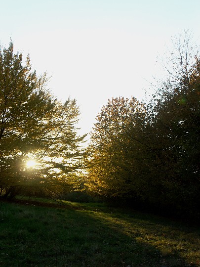 img00104.jpg
